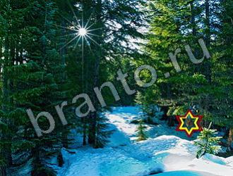 помощь на игру Найди животных Уровень 2299