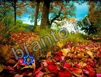 ответы на игру Найди животных в контакте Уровень 2300