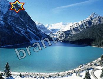 Найди животных игра ответы Уровень 2301