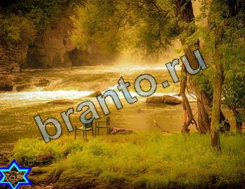 ответы на игру Найди животных Уровень 2302