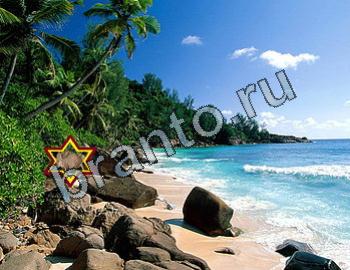 подсказки к игре Найди животных Уровень 2303