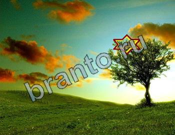 ответы на игру Найди животных Уровень 2304