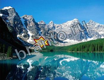 Найди животных решебник Уровень 2305