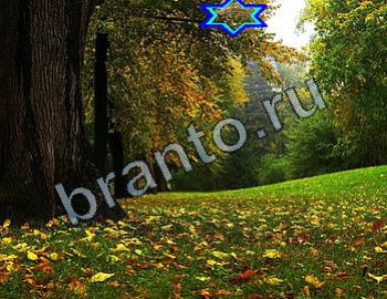 ответы на игру Найди животных Уровень 2307