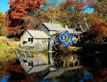 ответы на игру Найди животных Уровень 2309