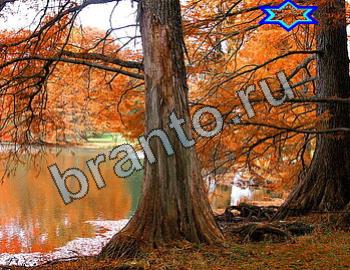 ответы на игру Найди животных Уровень 2314