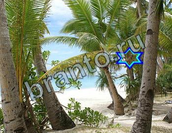 ответы на игру Найди животных Уровень 2315