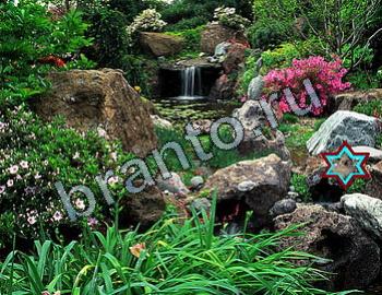 ответы на игру Найди животных Уровень 2318