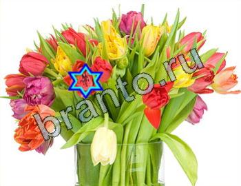 ответы на игру Найди животных Уровень 2319