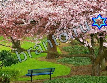 ответы на игру Найди животных Уровень 2320