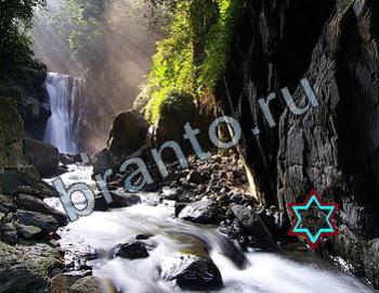 ответы на игру Найди животных Уровень 2321