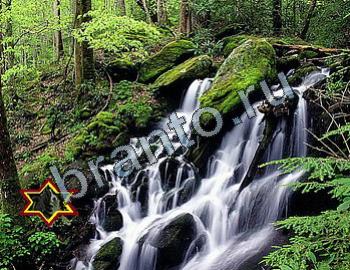 ответы на игру Найди животных Уровень 2324