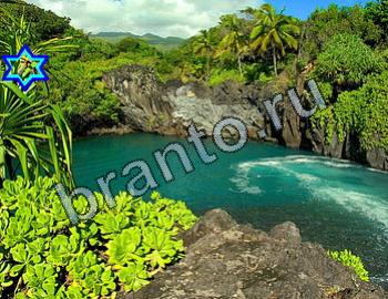 ответы на игру Найди животных Уровень 2325