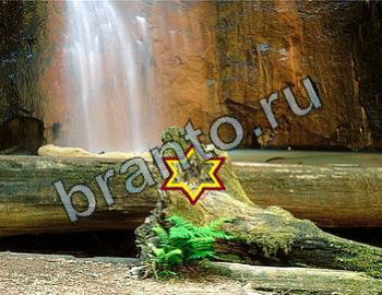 подсказки к игре Найди животных Уровень 2328