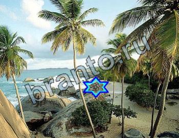 ответы на игру Найди животных Уровень 2330