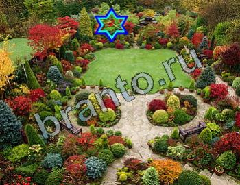 Найди животных ответы на игру Уровень 2331