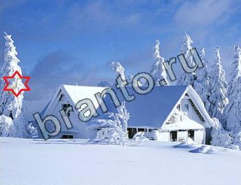 ответы к игре Найди животных Уровень 2333