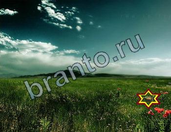 ответы на игру Найди животных Уровень 2336