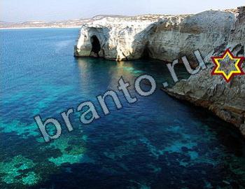 Найди животных Уровень 2337