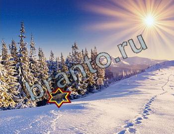 ответы на игру Найди животных Уровень 2338