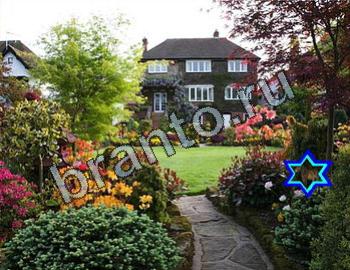 Найди животных Ответы Уровень 2339