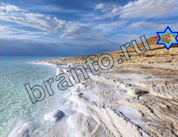 ответы на игру Найди животных Уровень 2340