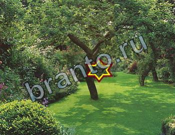 Найди животных подсказки Уровень 2341