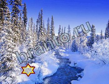 ответы на игру Найди животных Уровень 2342