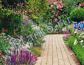 Игра Найди животных ответы Уровень 2343