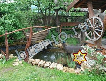 подсказки Найди животных Уровень 2344