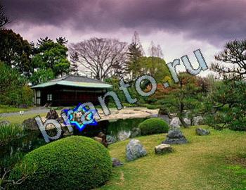 ответы на игру Найди животное Уровень 2345