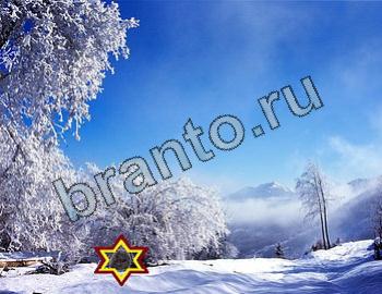 ответы на игру Найди животных Уровень 2346