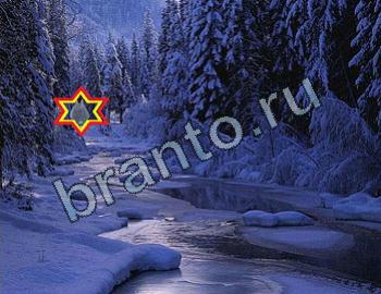 подсказки на игру Найди животных Уровень 2347