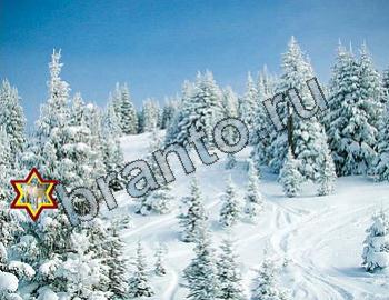 ответы на игру Найди животных в контакте Уровень 2350