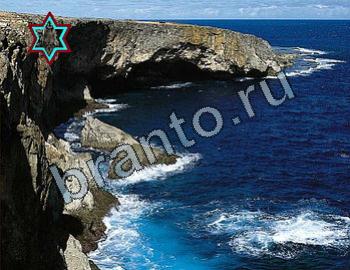 ответы на игру Найди животных Уровень 2354