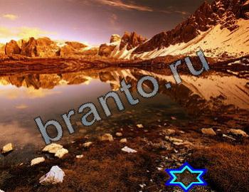 ответы на игру Найди животных Уровень 2356