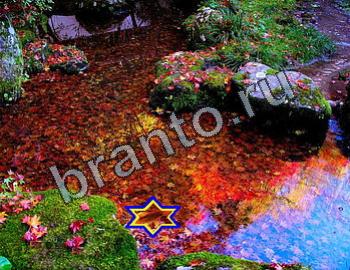 ответы на игру Найди животных Уровень 2362