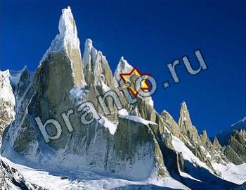 ответы на игру Найди животных Уровень 2366