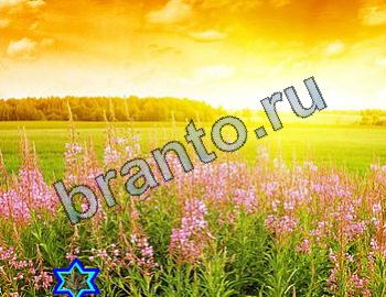 ответы на игру Найди животных Уровень 2370