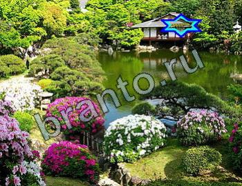 ответы на игру Найди животных Уровень 2371