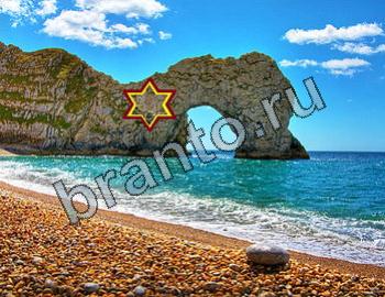 ответы на игру Найди животных Уровень 2373