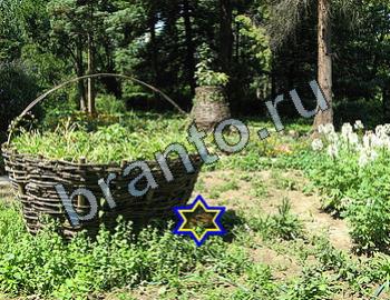 ответы на игру Найди животных Уровень 2374