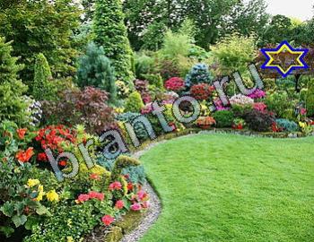 ответы на игру Найди животных Уровень 2376