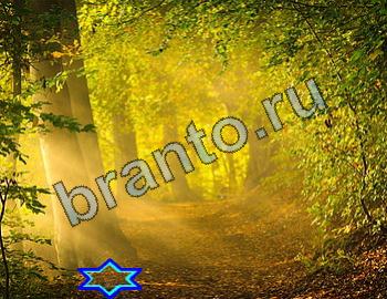 подсказки к игре Найди животных Уровень 2378