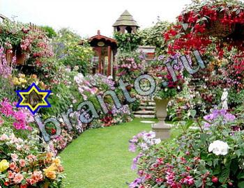 ответы на игру Найди животных Уровень 2379