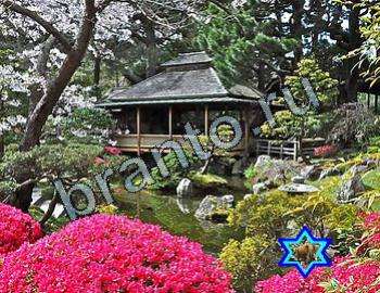 ответы на игру Найди животных Уровень 2380