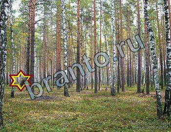 Найди животных ответы на игру Уровень 2381