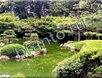 ответы на игру Найди животных Уровень 2382