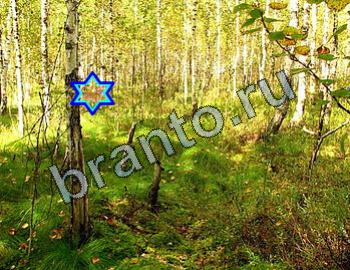 ответы к игре Найди животных Уровень 2383