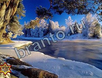 ответы на игру Найди животных Уровень 2384